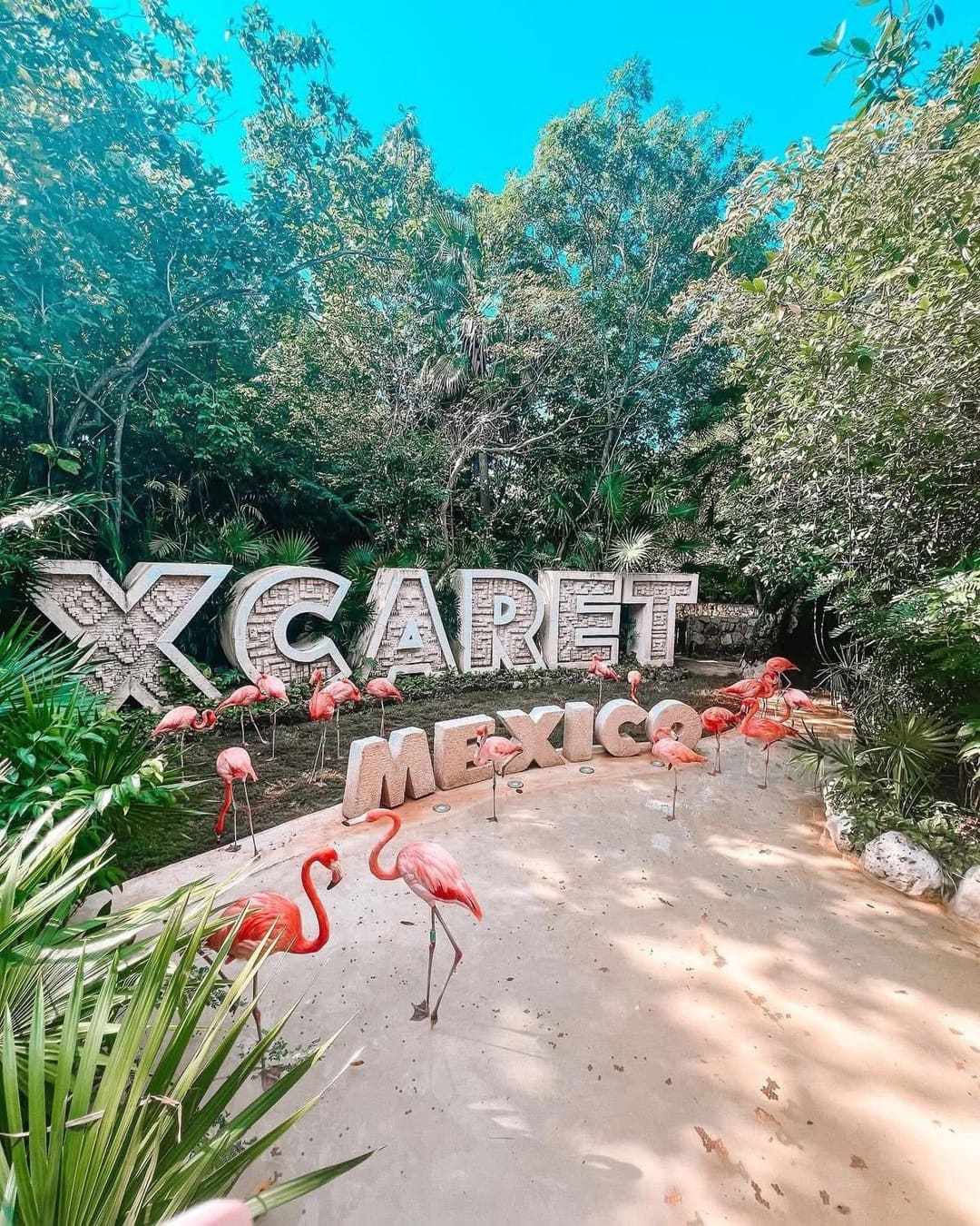 Xcaret Plus